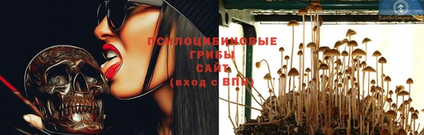 apvp Балабаново