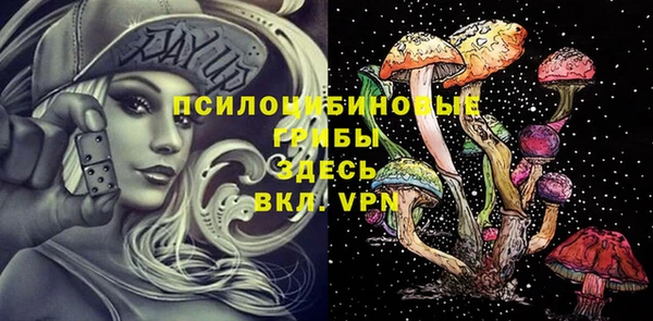 apvp Балабаново