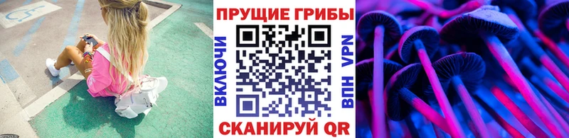 Галлюциногенные грибы мицелий  Вихоревка 